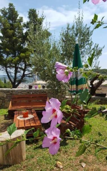 Apartments Radulovic Ulcinj Extérieur photo